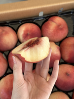 Floral Basket White Peach, , large