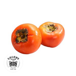 TAP Leopard Cat Persimmon