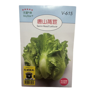Skystar Semi-Head Lettuce &ndash; Vegetable Seeds