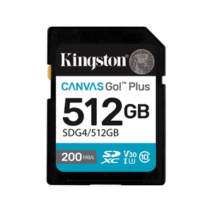 Kingston SD Card