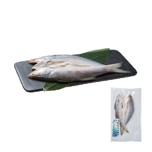 Fourfinger threadfin