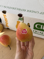 Pear, , large
