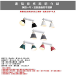 [Honey Comb]北歐風馬卡龍吸頂燈二燈 白色(KC17052), , large