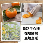 <番路鄉農會>柿果子脆片 (原味) - 110g/包, , large