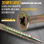 GS MALL 台灣製造 1組100入 尼龍膨脹螺絲 壁虎螺絲 麻根塞螺絲 裝修螺絲 鍍鋅螺絲 尼龍螺絲 膨脹螺絲 螺絲, , large