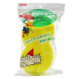 car wash sponge