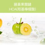 【FJ豐傑生醫】藤黃果30顆/袋-風靡日本藤黃果，幫助窈窕美麗X促進新陳代謝, , large