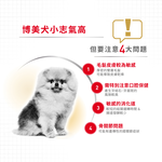 【Royal Canin法國皇家】博美成犬PA, , large