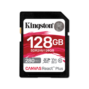 Kingston SD Card