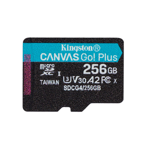 Kingston microSD Card