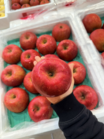 Aomori Honey Fuji Apple, , large