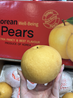Korean Asian Pear, , large