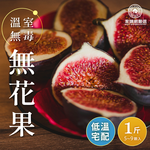 【家購嚴選網】溫室無毒無花果1斤(5~9顆/盒), , large