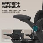 Double-wing Ergonomic Chair, , large