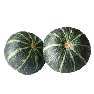 Japan chestnut pumpkin