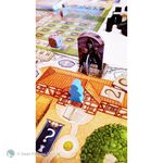 【新天鵝堡桌遊】我的村莊, , large