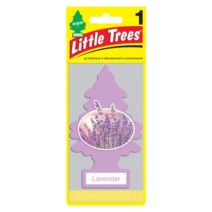 Little Tree