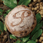 [帕莎蒂娜] 酒釀桂圓-小, , large