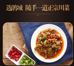 Juan Cheng Brand Pixian Broad Bean Paste, , large