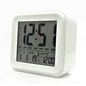 TW-8830 Alarm Clock