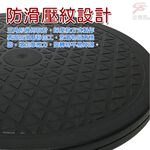 GS MALL 台灣製造 360度旋轉盤 耐重80公斤 360度旋轉盤 置物盤 收納 25.5cm 旋轉收納盤 旋轉盤, , large