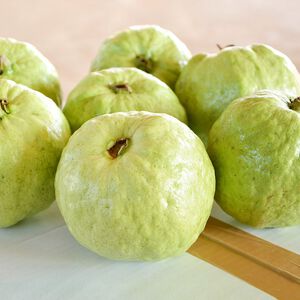 Organic Guava 4.8KG