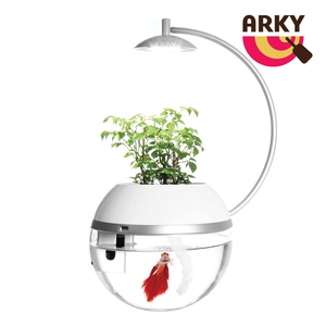 ARKY Herb & Fish Fight