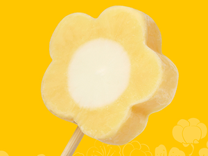 [Daxin] Plum Blossom Ice Cream-Passion Fruit