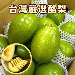 Taiwan Avocado
