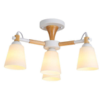 Lighting, , large