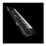 KORG KROSS 2 61, , large