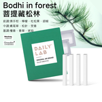 Daily Lab LQ 小金條系列車載香氛香片替換裝補充包(4片裝)特調SZ1979, , large