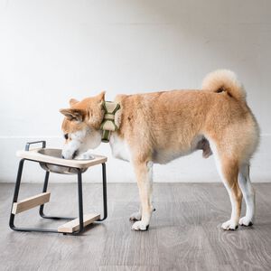 【paipaipets】 Natural Wood Elevated Pet Bowl - M/Maple
