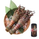 宏都拉斯活凍龍蝦, , large