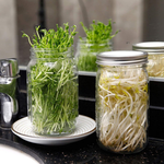 [Ball®專屬配件WildJar] 窄口專用不鏽鋼發芽網蓋組純瓶蓋 Stainless Steel Sprouting Lids Jar Kit for Regular Mouth mason jar 發芽罐 發芽瓶 發芽梅森罐 過篩網片 不鏽剛網狀發芽蓋, , large