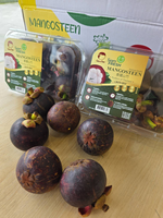 Mangosteen, , large
