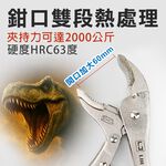 10吋暴龍鉗, , large