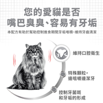 【Royal Canin法國皇家】強效潔牙成貓O30, , large