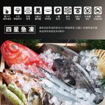 HERAN 禾聯 300L 變頻臥式冷凍櫃 HFZ-30L2V, , large