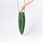 Tropical Leaf Tropical Green, , large