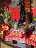 Jing xiang, , large