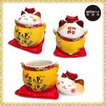 lucky cat, , large