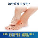 【心安購物】蹠骨緩沖紓壓軟凝墊-M, , large