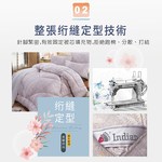 【多利寶寢具】INDIAN_加厚雙人絲柔棉保暖舒柔抗菌/棉被胎, , large