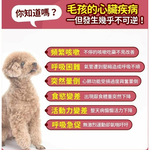 【毛孩時代】心臟專科保健粉 寵物保健品/貓狗心臟保健品(2盒/60入), , large
