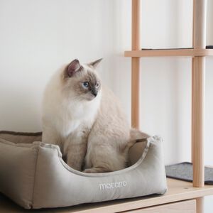 【paipaipets】Latex Pet Bed with cotton sheets - Elephant Gray