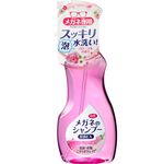 [力守貿易]日本 SOFT 99眼鏡清洗液-超除菌型, , large