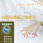 ［熊棉］斯里蘭卡乳膠床墊｜5尺｜, , large