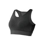 【AREXSPORT】AS-7433 加大碼內衣/ XL-3L/涼感機能美背吸排透氣網眼中高強度可調節BRA運動內衣, , large