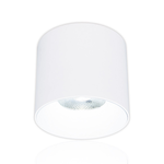 DanceLight dance light 10W Aegis downlight, beam angle 36 degrees, die-cast aluminum, fast heat dissipation, full voltage, one-piece molding, fashionable white (white light), , large